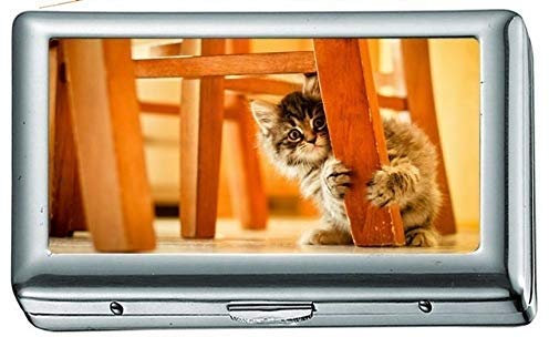 Animals Cats Kittens Babies Chair Paws Cigarette Case/Box Business Card Holder Stainless Steel Case Silver Metal Wallet Protection