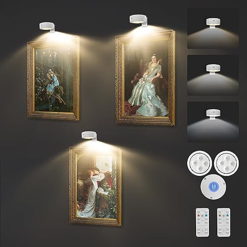 Confezione da 3 luci senza fili per quadri a batteria, con telecomando, 3 modalità di illuminazione, dimmerabili e timer, luce per display artistici, cornici, ritratti, decorazioni magnetiche da