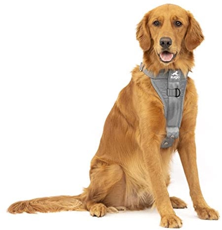 Kurgo TRU-Fit Hundegeschirr, Crash-Test-erprobtes Auto-Sicherheitsgurt, Für Hunde von 2 bis 5 kg, Größe XL, Grau
