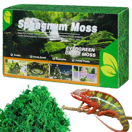 OMJMYY 300g Sphagnum Moos Spagnummoos für Pflanzen Orchideen Terrarium Blumenerde Sphagnum Moss Premium Naturprodukt Torfmoos für Reptilien Lebendes Geckos Schlange Schildkröten Frösche