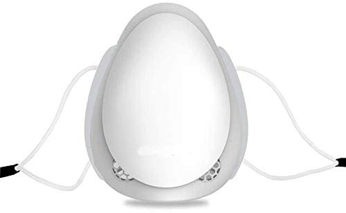 Gasin Adults Mini Electric Air Purifier with Activated Carbon Filter Automatic Fresh Air Purifying Anti for Dust Pollen Allergy for Adults