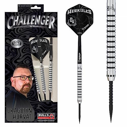 BULL'S Dragutin Horvat Dart, Silber, 21 g