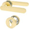 Amerdeco Maniglia per Porta Oro in Alluminio – Set PZ per Porta Blindata, Maniglia Porta Blindata Elegante