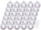 Inge Glas Weihnachtskugeln mit Haken | Schöne Christbaumkugeln aus Glas | Set 30 Kugeln und 40 Aufhänger | Christbaumschmuck Weihnachtsbaumkugeln (Dazzling Whisper | Irisierend)