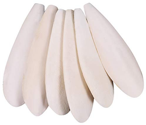 Gitua 6 Stück Sepiaschalen für Schildkröten, 10.5-12cm Sepia Schalen für Vögel Reptilien Bartagamen und Schnecken, Natürliche Kalzium u. Mineralversorgung