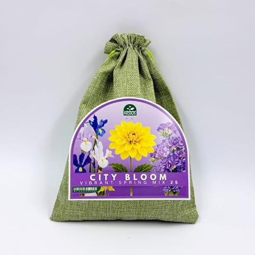 Nojus City Bloom Vibrant Spring Mix 25 – Mix di Bulbi e Tuberi Primaverili (Iris, Fresie, Dalie), Fiori Colorati per Giardino, Balcone e Vasi – 25 Pezzi