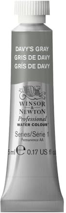 Winsor & Newton Aquarelle Professionnel - Peinture Aquarelle, Haute Luminosité, Résistante à la Lumière, Qualité Archive, Tube de 5 ML, Couleur Gris de Davy