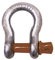 Titan 10319055 - Grillo di ancoraggio con arco da 5/8, zincato a caldo, con perno a vite, 37316 Ton WLL