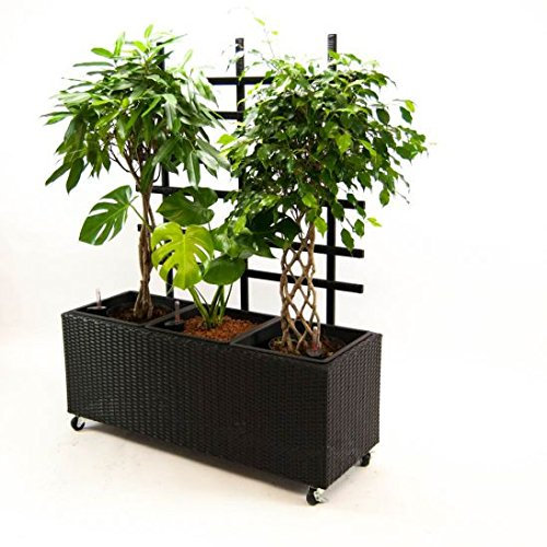Elegant Einrichten Pflanzkübel, Pflanztrog Polyrattan mit Rankgitter 82x30x100cm schwarz.