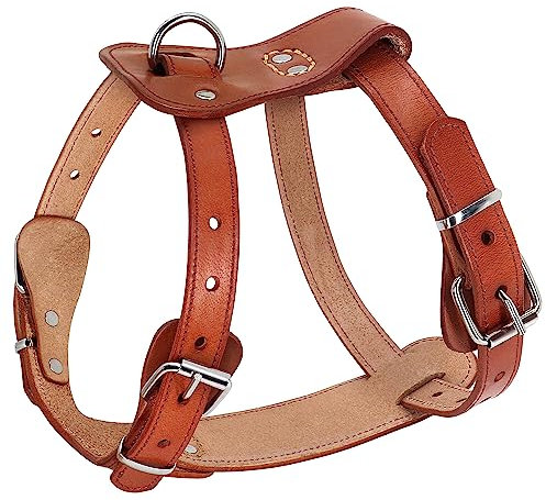 Beirui Hundegeschirr aus echtem Leder – kein Ausbrechen für mittelgroße und große Hunde, Haustier-Training, Spazierengehen – einfach verstellbares,73.7 cm, Braun)