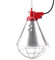 250 W Infrarot-Glühlampe mit roter und niedrigem Einstelllicht für Reptilien, Amphibien, Küken, Schweine und andere Tiere (EU-Stecker 220 V)