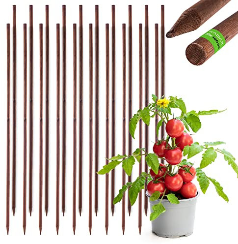 KADAX Rankhilfe aus Holz, imprägnierte Pflanzstäbe, Kletterpflanzen-Stab, wetterfeste Rankstange, Blumenstab, Rankgitter, Holzpflöcke, Pfähle (20, 28mm x 180cm)
