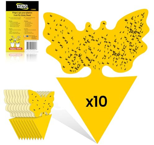 ATAQ Plaquettes autocollante Anti Mouche, Anti moucherons Intérieur, Paquet de 10 Pièges à Mouches/Insectes, Pratique Efficace et Simple d’Utilisation, Colle Ultra puissante Protection Longue durée