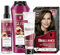 Brillance Intensiv-Color-Creme 878 Dunkles Aschbraun (170 ml) & Glanz-Behandlung Haar, Glossing Neutral (150 ml) & Gliss Shampoo (250 ml) & Express-Repair-Spülung Colour Perfector (200 ml)