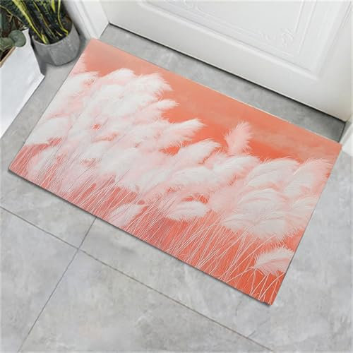 CECE&COLE Tappeti Morbidi E Soffici, Semplici Zerbini Per Porte In Canna, Tappeti Per Ingresso Antiscivolo Lavabili, Tappetini Per Pavimenti In Moquette 40×60 Cm