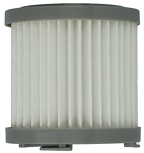 vhbw filtro compatibile con DeLonghi Colombina Evo Pro Midi Hair XLM417.WRG, XLM418.GCG aspirapolvere - filtro HEPA bianco/grigio