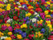 30 Primeln Pflanze Samen blumensamen stauden winterhart mehrjährig kletterpflanzen winterhart schnellwachsend bodendecker winterhart wildblumen gardening gifts