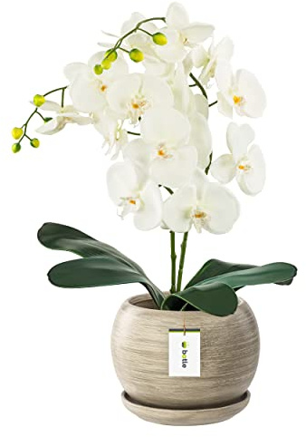 botle Blumentopf Blumenübertopf Beton Kugel Blumenschale mit Untersetzer Rund BxH 170 mm x 160 mm Oberfläche Matt Keramik Modern Glamour