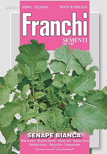 SEMENTI IN BUSTINA DI PIANTE OFFICINALI E AROMATICHE (SENAPE BIANCA)
