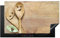 KitchenYeah© Protezione Piano Induzione 91x52 cm Cucina Copri Fornelli Proteggi di Cottura Antiscivolo Tappetino Natura morta - Cucchiai - Marrone