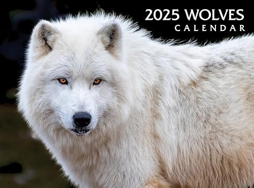 Wandkalender 2025 Wölfe