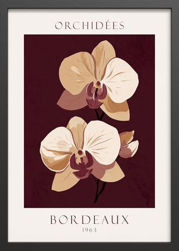 STYLER Gerahmtes Poster Cream Orchids 50 x 70 cm I Elegantes Blumenmotiv in warmen Creme- & Bordeaux-Tönen I Wandbild Bild Set I Modernes Poster mit hochwertigem Rahmen & mattem Finish