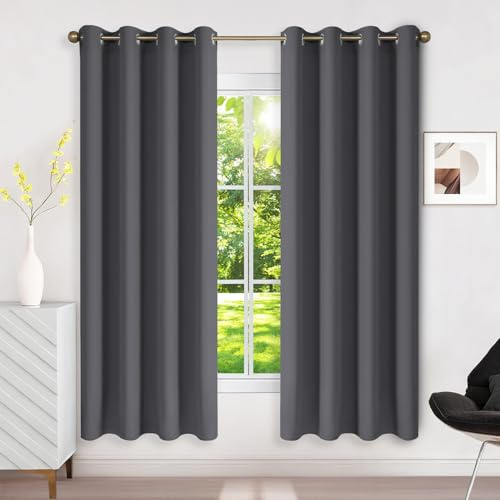 Runyéla Rideau Occultant Thermique Isolant Anti Chaleur 120x180 (LxH), Lot de 2 Rideaux Fenêtre Opaques Gris Foncé à Oeillets Anti Froid UV Bruit, Intérieurs Decoration Dressing Salon Chambre Maison