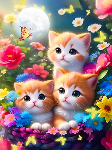 Katzen Diamond Painting Bilder, 5D Katzen Diamant Painting Bilder Tier Diamant Malerei Bilder Set Full Drill Diamond Painting Malerei für Heimdekor Set (30 * 40cm)