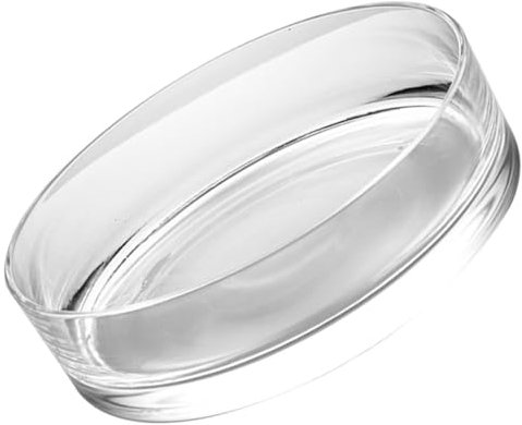 BESPORTBLE De Transparente para Suculentas Jarrón Decorativo para Hidroponía Interior y Exterior para Decoración De y