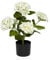 hjh OFFICE Flor artificial en maceta, 52 cm, planta decorativa de hortensias, hortensias artificiales