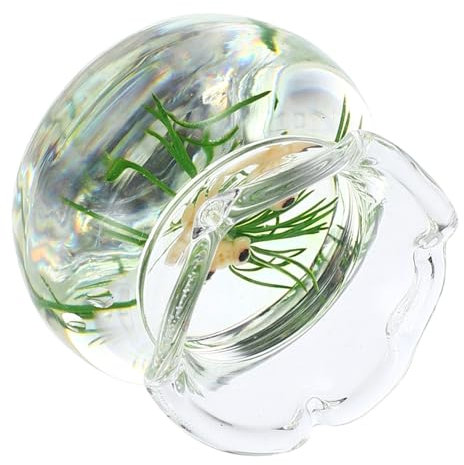 CORHAD Mikro Landschaft Glas Aquarium Wassertisch Spielzeug Zubehör Für Fische Aquarium Kleine Dinge Puppenhaus Dekoration Miniatur Fischglas Mini Dekoration Mini
