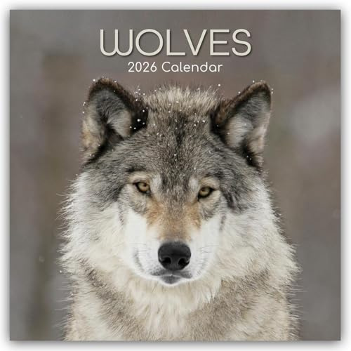 Wolves – Wölfe 2026 – 16-Monatskalender: Original Gifted Stationery-Kalender [Mehrsprachig] [Kalender] (Wall-Kalender)
