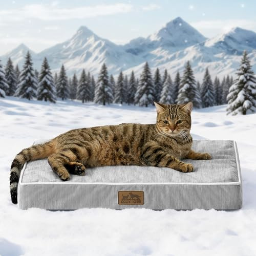 COZY KISS Kühlende Hundebett für Kleine Hunde Katze, Q-Max>0.4 Waschbare Kühlmatte Hunde Mit Gel Orthopädische Schaum, Atmungsaktive und abnehmbare Hundematte, rutschfest, 61X41x7.5cm, Silbergrau