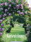 Gartenträume - Kalender 2020 - Alpha Edition-Verlag - Wandkalender mit wunderschönen Fotos - 42 cm x 56 cm