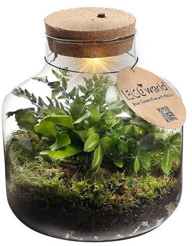 vdvelde.com - Jungle Biosphere - Farne Pflanze - Glas Ø 21 cm ↥ 21 cm - Mit Licht