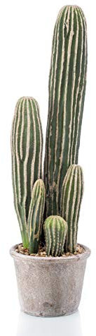 artplants.de Cactus San Pedro de plástico DACON en Maceta Decorativa, Verde, 55 cm - Cactus Artificial - Planta Falsa