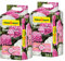 Floragard Hortensienerde roas/weiß 2x25 L - zum Pflanzen und Umtopfen - für Beet- und Kübelbepflanzung