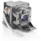 GreenBale Beamer Lampe für BenQ MS619ST MX620ST MS630ST MW632ST MX631ST MX806ST MX818ST MX819ST MW820ST W750 W770ST MW817ST MW820ST MX815ST MX816ST MS500H MS513P MS502 MX503 Projektor Ersatzlampe