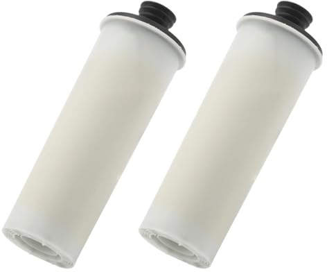 Steam Cleaner Water Purifier Descaling Cartridge ，Compatible for Karcher ，SC2 SC3 Clean Water Descaling Filter Premium Upright 2PCS Filter Element