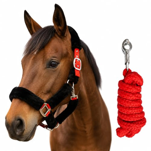 Pferde Halfter und Strick Fellhalfter mit Führstrick Pferd Panikhaken Halfter Pony, Cob, Warmblut, Kaltblut (Vollblut (Clob))