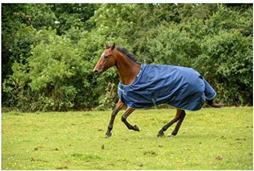 Bucas Regendecke Light Stay-Dry SMARTEX RAIN blau 145cm + Hufkratzer Reiterladen24.de