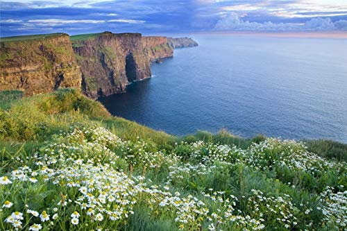 Malen nach Zahlen-Set, Ölgemälde zum Selbermachen, Irland, Europa, für Erwachsene, Kinder, Anfänger, 40 x 50 cm (ohne Rahmen)