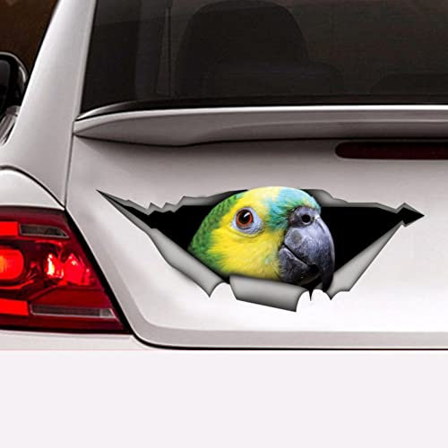 PBHYDK 2 Stück Blauer Papagei-Aufkleber, Papagei-Aufkleber, Vögel, Auto-Aufkleber, Auto-Aufkleber, Laptop, Koffer, LKW-Zubehör, Auto-Aufkleber, Dekoration, Aufkleber, lustiger Auto-Autoaufkleber
