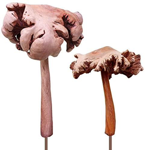 ART-CRAFT 2 Parasol alt Gartenstecker Deko Pilze aus Holz von Hand geschnitzt 15 cm und 22 cm hoch