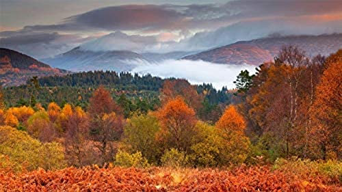 Loch Lomond und der Trossachs-Nationalpark, Schottland, Puzzle 1000 Teile Puzzles für Erwachsene und Kinder, 38 x 26 cm