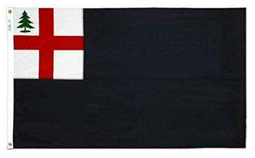 Annin Flagmakers 318725 Bunker Hill Flagge, 90 x 150 cm, Nylongefärbtes Design, 100