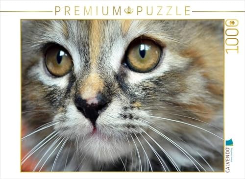 CALVENDO Puzzle Schönheit | 1000 Teile Lege-Größe 64 x 48 cm Foto-Puzzle für glückliche Stunden