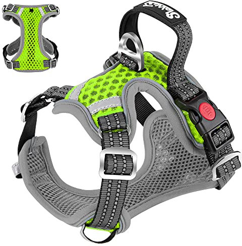 Eyein Hundegeschirr für Kleine Mittelgroße Hunde, Air Mesh Atmungsaktiv Brustgeschirr mit weichem Griff und Abschließbare Karabiner, ausbruchsicher reflektierend Hund Geschirr für Welpen, Grün, XS