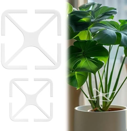 2 Stück Pflanzenstütze, Wiederverwendbarer Pflanzen Stielhalter, Pflanzenstützen, Acryl Pothos Plant Support, Pflanzenhalter für Pflanzen Blumen Rosen Lilien Monsteras Hortensien Gemüse (2 Stück)