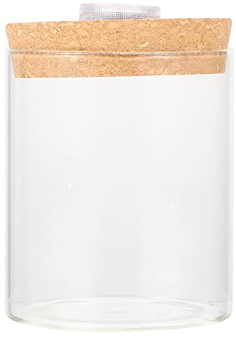 jojofuny Bouteille en Verre Borosilicaté Cylindrique pour Décoration de Chambre, Mini Aquarium Facile à Observer Support en Bois pour Arrangement Floral